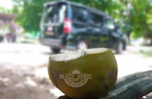 Ricks Cafe, Shopping & 7 Mile Beach- Day Trip to Negril 