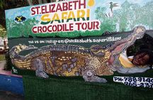 South Coast Tour to YS Falls, Black River Safari and Appleton Rum