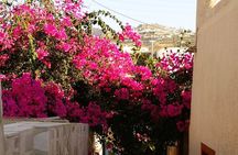 Easy Walks in Santorini Private Half Day Tour