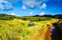 Horton Plains Park & Worlds End Guided Trekking From Nuwara Eliya