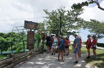 Zipline Tour : Punta Cana (Join The Group)