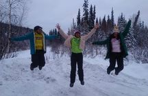 Full Day Arctic Circle Tour
