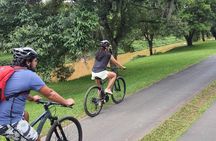 Interparks Cycling Tour Curitiba for small groups