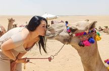 Private Tour to Great Pyramids of Giza and Sphinx 