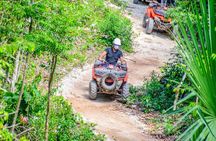 ATV Tour, Ziplines, Mayan Cenote, Tacos, Tequila and Transport