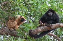 Private Half Day Tour Mombacho Cloud Forest from Granada
