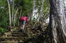 Half Day Tour to the Heart of Maya Civilization in Belize