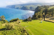 Kohala Waterfalls Small Group Adventure Tour