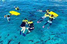 Deluxe Turtle Snorkeling Escapade at Waikiki