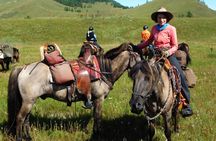 Kharkhorum, Khustai, Mini Gobi & Ger Under the Stars: 3-Day Tour