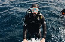 Scuba Diving Underwater