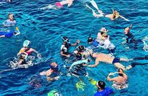 3 Hour Snorkeling and Dolphin Watching Experience in Muscat