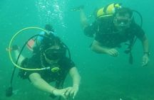 3 Hour Snorkeling and Dolphin Watching Experience in Muscat