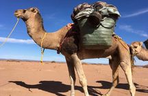 3 days 2 nights: Safari Desert Erg Zahar & Erg Chigaga 
