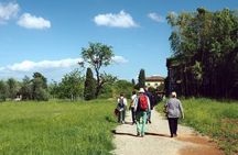 La Dolce Vita of the renaissance - Half-Day Walking Tour 