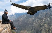 Colca Canyon Full Day Arequipa