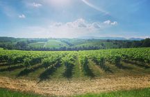 Adventure in the Prosecco Hills by Yellowboot