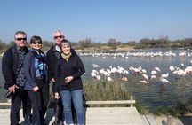 Flamingos and traditions of Camargue Nature Park