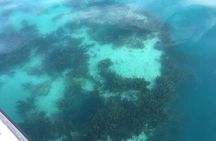 Bermuda Glass Bottom Boat Cruise