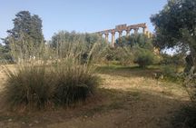 Private Tour to Segesta, Erice and Wine Tasting in Marsala