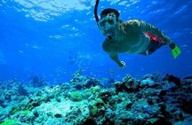 Hula Hula Island Private Speed Boat & Transfer-Hurghada