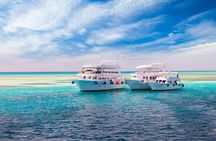  Ras Mohamed Boat Trip & White Island