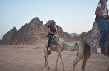 Sunset 5-in-1 Adventure in Sharm El-Sheikh with Camel Riding 