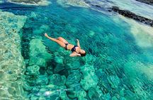 Experience on Sal Island with native and certified guide (including sharks)