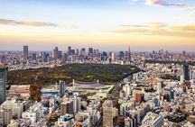 Tokyo 8hr Private Tour with Licensed Guide from Yokohama