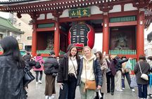 Tokyo Layover Tour with Licensed Guide:Narita Airport Dep