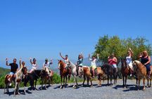 Fethiye Horse Riding Experience With Free Hotel Transfer Service