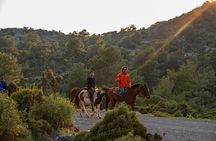 Fethiye Horse Riding Experience With Free Hotel Transfer Service