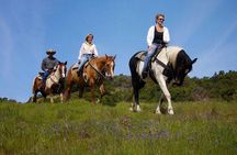 Fethiye Horse Riding Experience With Free Hotel Transfer Service