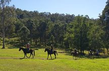 Sydney - Hunter Valley Wine Tasting & Horse Riding Private Tour