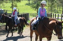 Sydney - Hunter Valley Wine Tasting & Horse Riding Private Tour