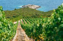 Korcula Island Buggy Safari Tour Local Food & Wine Tasting
