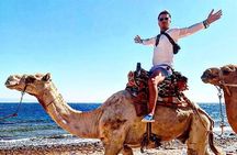 Dahab Canyon Salama & Blue Hole Snorkeling Experience