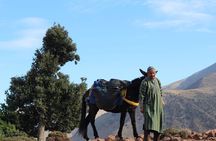 2-Day Private Trek in the High Atlas Mountains