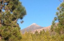 Monster Quad Teide Tour