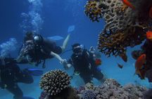 Kemer Scuba Diving Experience: Two Dives with Lunch 