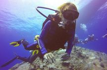 Belek Scuba Diving Experience (2 Dives) With Lunch 