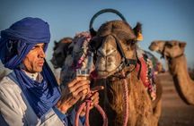  Agafay Desert Camel Ride & Quad Bike 