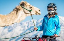  Agafay Desert Camel Ride & Quad Bike 