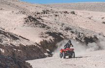  Agafay Desert Camel Ride & Quad Bike 