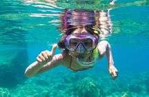 The great snorkeling adventure at the Riviera Maya private tour