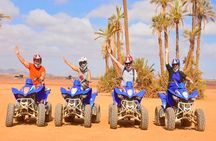 Marrakech Camel Ride & Quad Bike in Palmeraie 