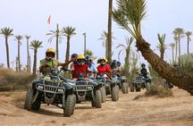 Marrakech Camel Ride & Quad Bike in Palmeraie 
