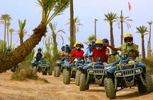 Marrakech Camel Ride & Quad Bike in Palmeraie 