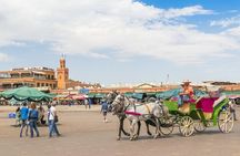 Marrakech Day Trip with Camel Ride