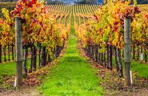 Private Tour of Peljesac Peninsula with Optional Wine Tasting